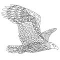 Zentangle stylized flying eagle. Hand Drawn doodle
