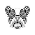 Zentangle stylized French Bulldog face. Hand Drawn Dog doodle ve