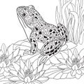 Zentangle stylized frog Royalty Free Stock Photo