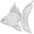 Zentangle stylized goldfish