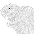 Zentangle stylized groundhog