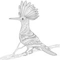 Zentangle stylized hoopoe Royalty Free Stock Photo