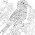 Zentangle stylized kookaburra bird