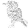 Zentangle stylized kookaburra bird