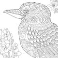 Zentangle stylized kookaburra bird