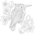 Zentangle stylized kookaburra bird