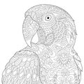Zentangle stylized macaw Royalty Free Stock Photo