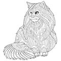 Zentangle stylized maine coon cat