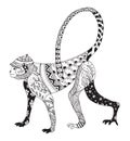 Zentangle stylized monkey, chinese zodiac Royalty Free Stock Photo