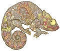 Zentangle stylized multi coloured Chameleon Royalty Free Stock Photo