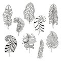 Zentangle stylized nine feathers for coloring page. Royalty Free Stock Photo