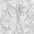 Zentangle stylized peacock Royalty Free Stock Photo