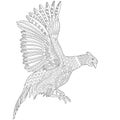 Zentangle stylized pheasant bird