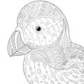 Zentangle stylized puffin