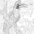 Zentangle stylized rhinoceros hornbill bird (Buceros rhinoceros) Royalty Free Stock Photo