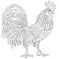 Zentangle stylized rooster (cock)