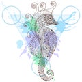 Zentangle stylized Sea Horse in triangle frame with watercolor i Royalty Free Stock Photo