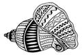 Zentangle stylized shell