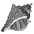 Zentangle stylized shell. Royalty Free Stock Photo