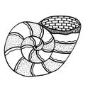 Zentangle stylized shell.