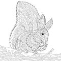 Zentangle stylized squirrel