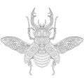 Zentangle Stylized Stag-beetle (Lucanus Cervus)