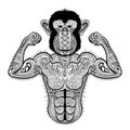 Zentangle stylized strong Monkey like Bodybuilder. Hand Drawn sp