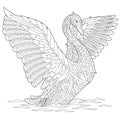 Zentangle stylized swan Royalty Free Stock Photo