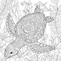 Zentangle stylized turtle