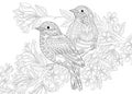 Zentangle stylized two birds