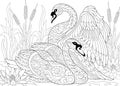 Zentangle stylized two swans Royalty Free Stock Photo