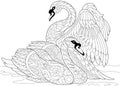 Zentangle stylized two swans