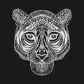 Zentangle stylized White Tiger face. Hand Drawn doodle vector il Royalty Free Stock Photo