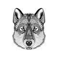 Zentangle stylized Wolf face. Hand Drawn Guata doodle vector ill