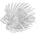 Zentangle stylized zebrafish (lionfish) Royalty Free Stock Photo