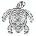 Zentangle turtle line drawing for coloring book page