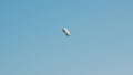 Zeppelin Airship Dirigible In Air