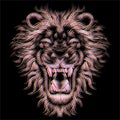 The Vector logo lion for tattoo or T-shirt print design or outwear. Hunting style lions background. This hand drawing would be ni