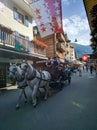 Zermatt, Switzerland - August 22, 2019: Carriage with coachmen, barred by white horses, rides down the street. Vertical