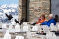 Zermatt, Switzerland - June 1 2014: Senior man feeding black crows on the Kulmhotel Gornergrat terrace, at 3100 meters