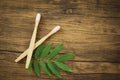 Zero waste Bathroom use less plastic concept bamboo toothbrush and green leaf on rustic background