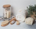 Zero waste concept. Eco-friendly bath set. Brushes, soap in jar, towel, pumice and bast and plant in wood flowerpot. copy space