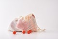 Zero waste concept. Fresh organic vegetables in textile bag on a white background