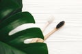 Zero waste concept. Natural eco friendly bamboo toothbrushes on