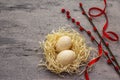 Zero waste Easter concept. Wooden egg, bird`s nest, satin ribbon, red willow seals. No plastic, eco trend. Gray concrete Royalty Free Stock Photo