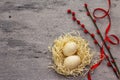 Zero waste Easter concept. Wooden egg, bird`s nest, satin ribbon, red willow seals. No plastic, eco trend. Gray concrete Royalty Free Stock Photo