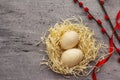 Zero waste Easter concept. Wooden egg, bird`s nest, satin ribbon, red willow seals. No plastic, eco trend. Gray concrete Royalty Free Stock Photo