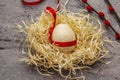 Zero waste Easter concept. Wooden egg, bird`s nest, satin ribbon, red willow seals. No plastic, eco trend. Gray concrete Royalty Free Stock Photo