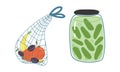 Zero Waste with Mesh Bag and Glass Jar with Preserved Food as Everyday Reused Object Vector Set