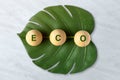 Zero waste and plastic free concept.eco word on wood block with green leaf on marble table,eco friendly